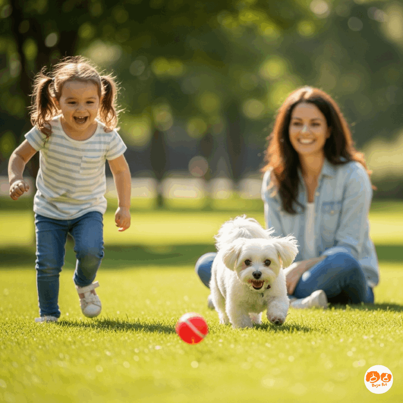 波啾寵食 Boju Pet - 與毛孩間愛的連結